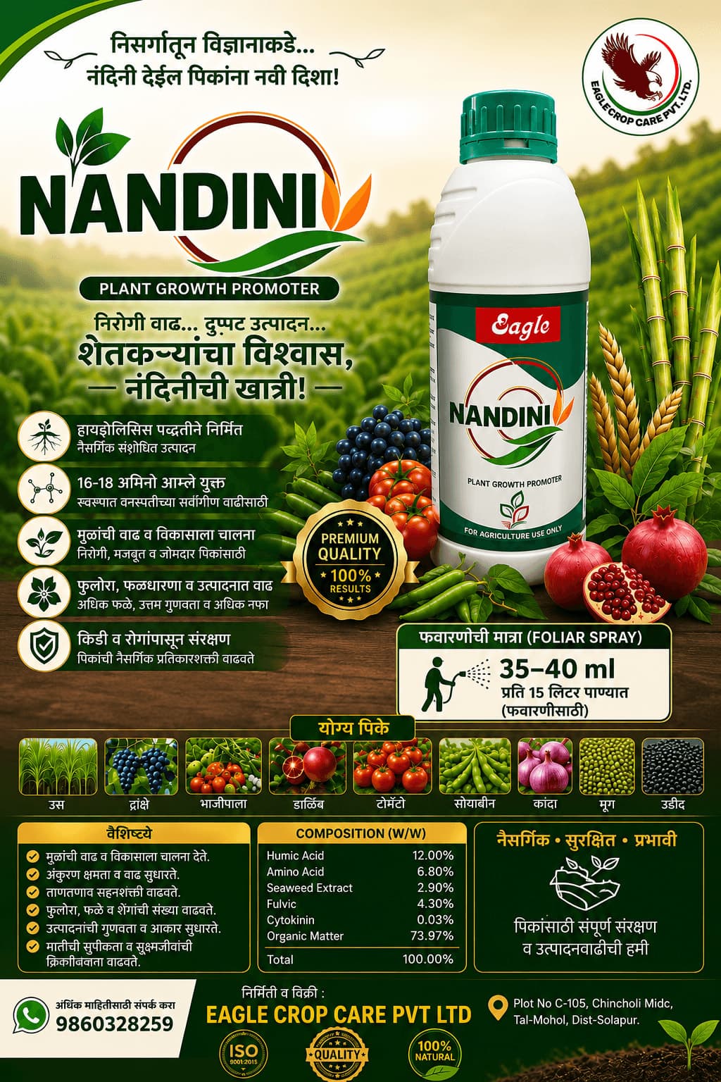 Nandini
