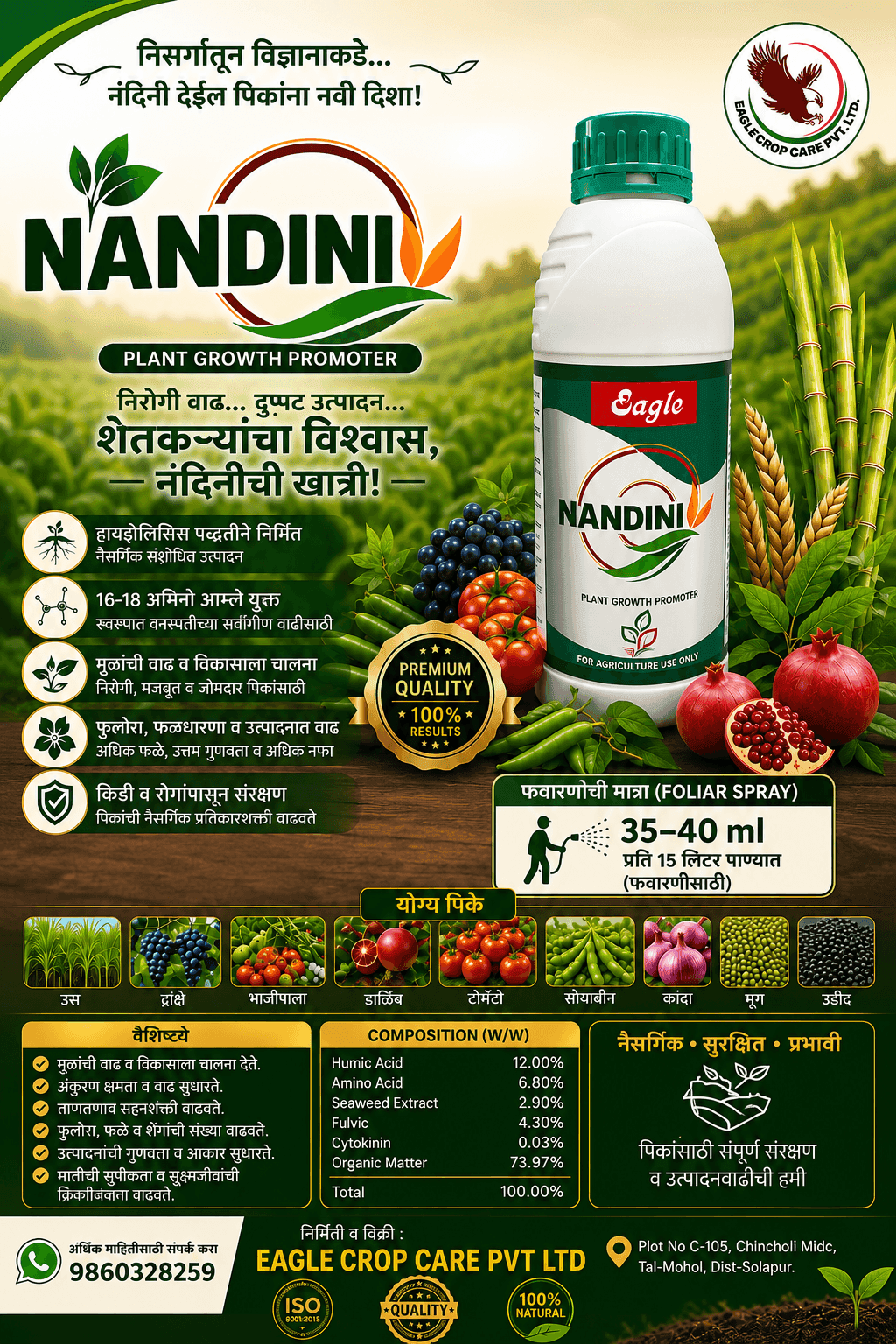 nandini